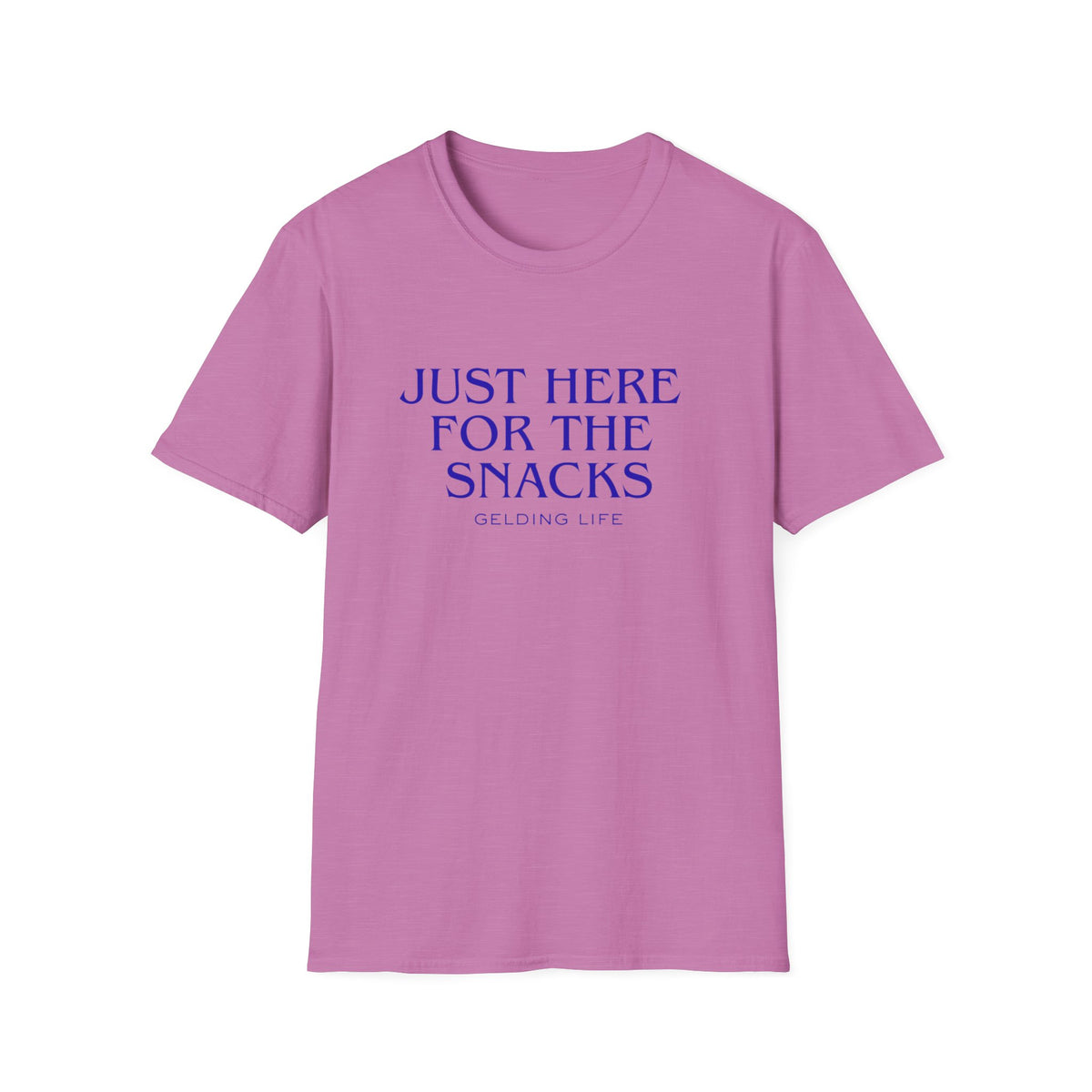Just Here For The Snacks T-Shirt | Gelding Life Quote Tee